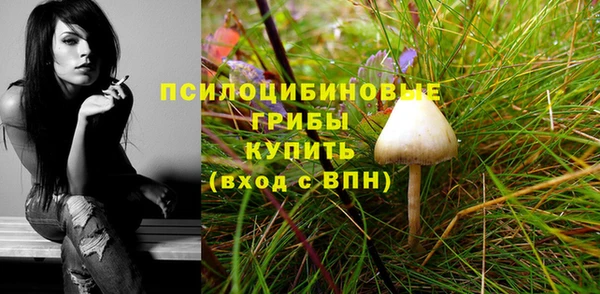мет Богородск