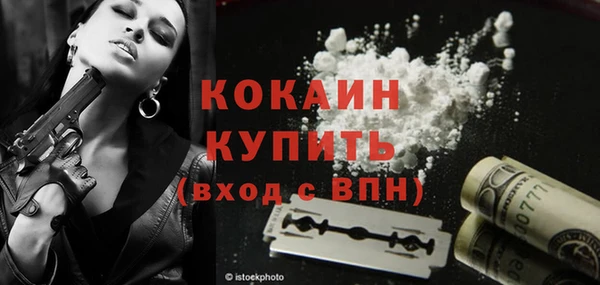 спиды Бородино