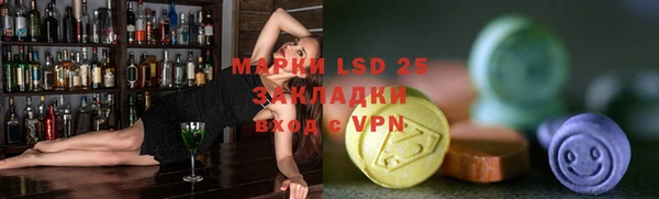 спиды Бородино
