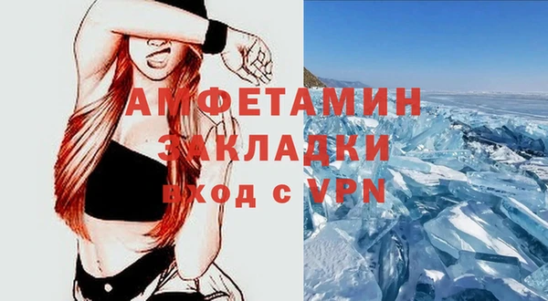 дмт Богданович
