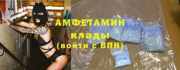 дмт Богданович
