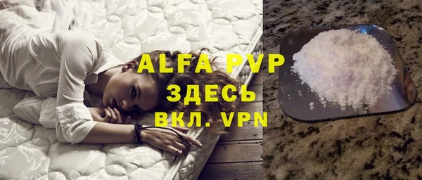 дмт Богданович