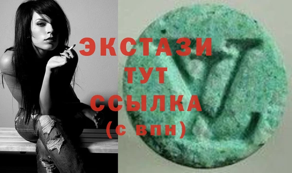 дмт Богданович