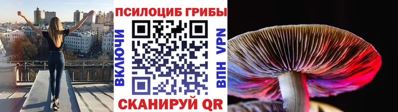 Галлюциногенные грибы ЛСД  Афипский 